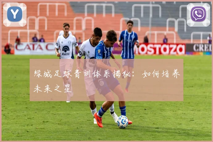 绿城足球青训体系揭秘：如何培养未来之星